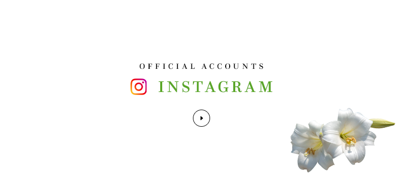 banner_insta_off
